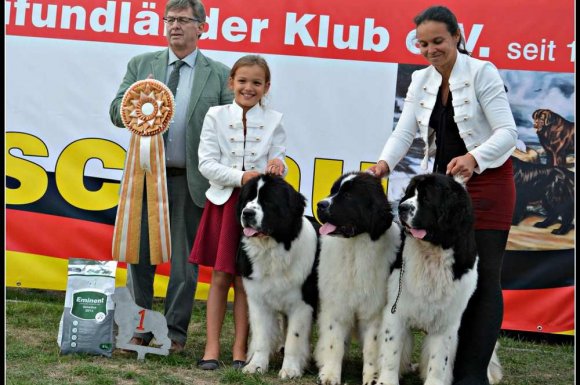 Concours dressage chien - Chalon-sur-Saône - Oukaya Forever 