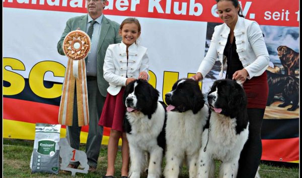 Concours dressage chien - Chalon-sur-Saône - Oukaya Forever 