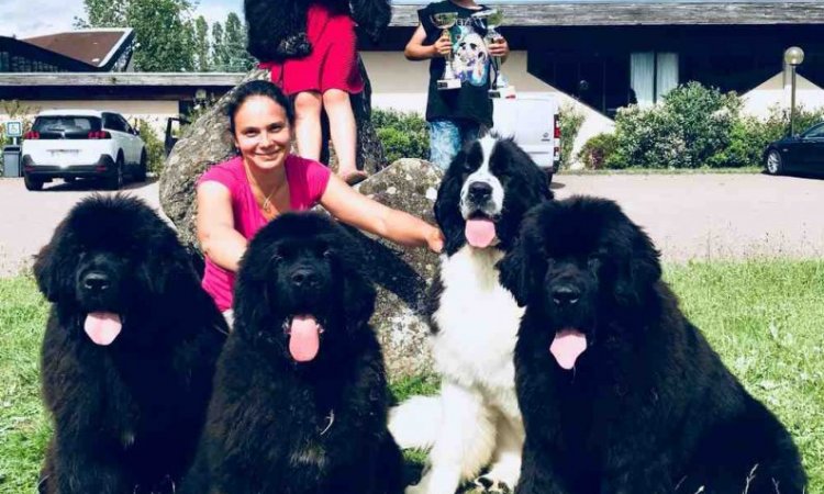 Vente de chiens de compétition - Chalon-sur-Saône - Oukaya Forever 